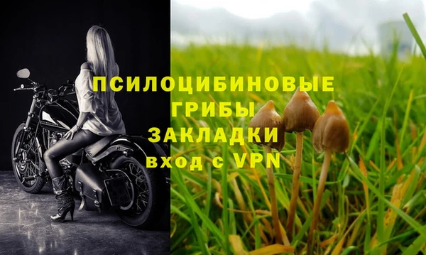 прущие крисы Медвежьегорск