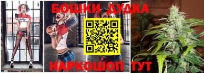 дмт Новокубанск