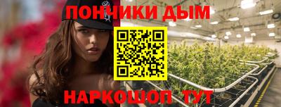 дмт Новокубанск