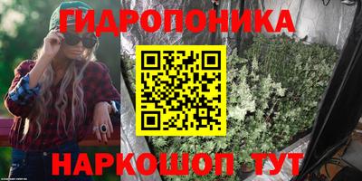 метадон Новозыбков