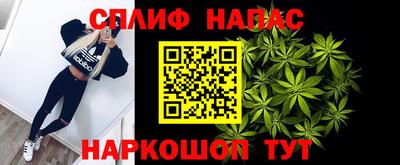 дмт Новокубанск