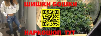 дмт Новокубанск