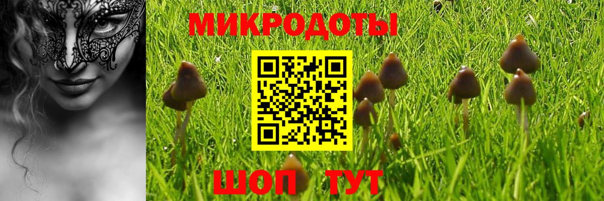 Урус-Мартан  Галлюциногенные грибы MAGIC MUSHROOMS  Псилоцибиновые грибы MAGIC MUSHROOMS  цены   Вход с VPN 